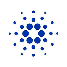 Cardano Hackathon Asia Finalist
